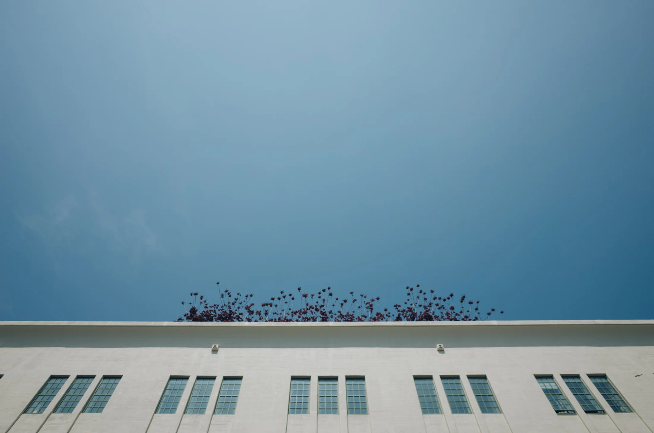 NYC_037.jpg