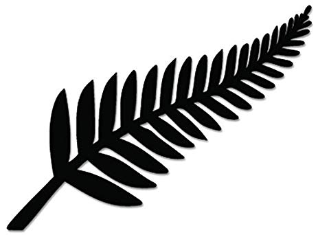 black-fern.jpg