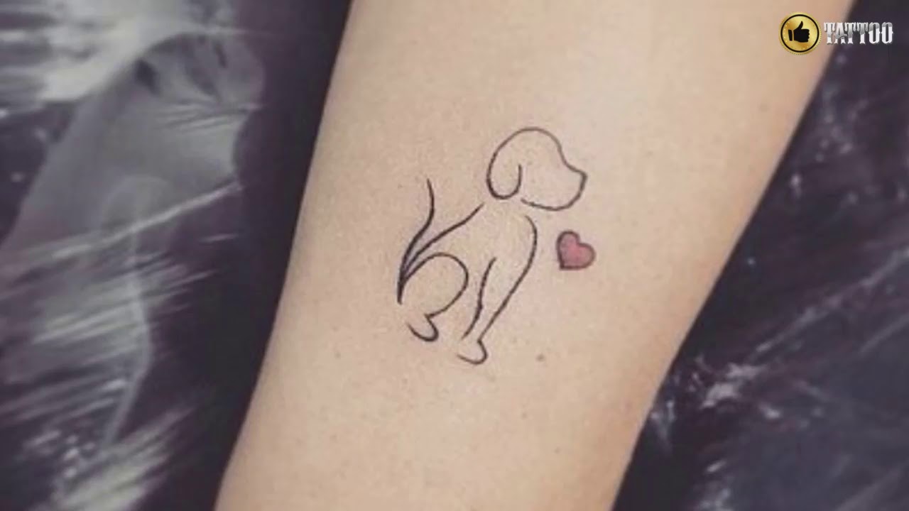 dog-minimalist.jpg