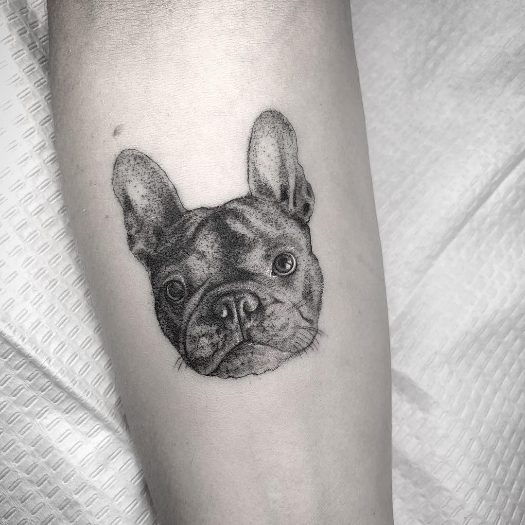 dog-pr.jpg