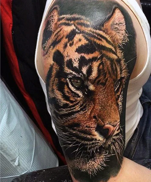 tiger4.jpg