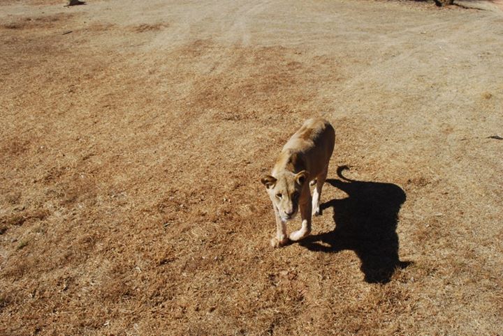 0370__2012_08_24.jpg