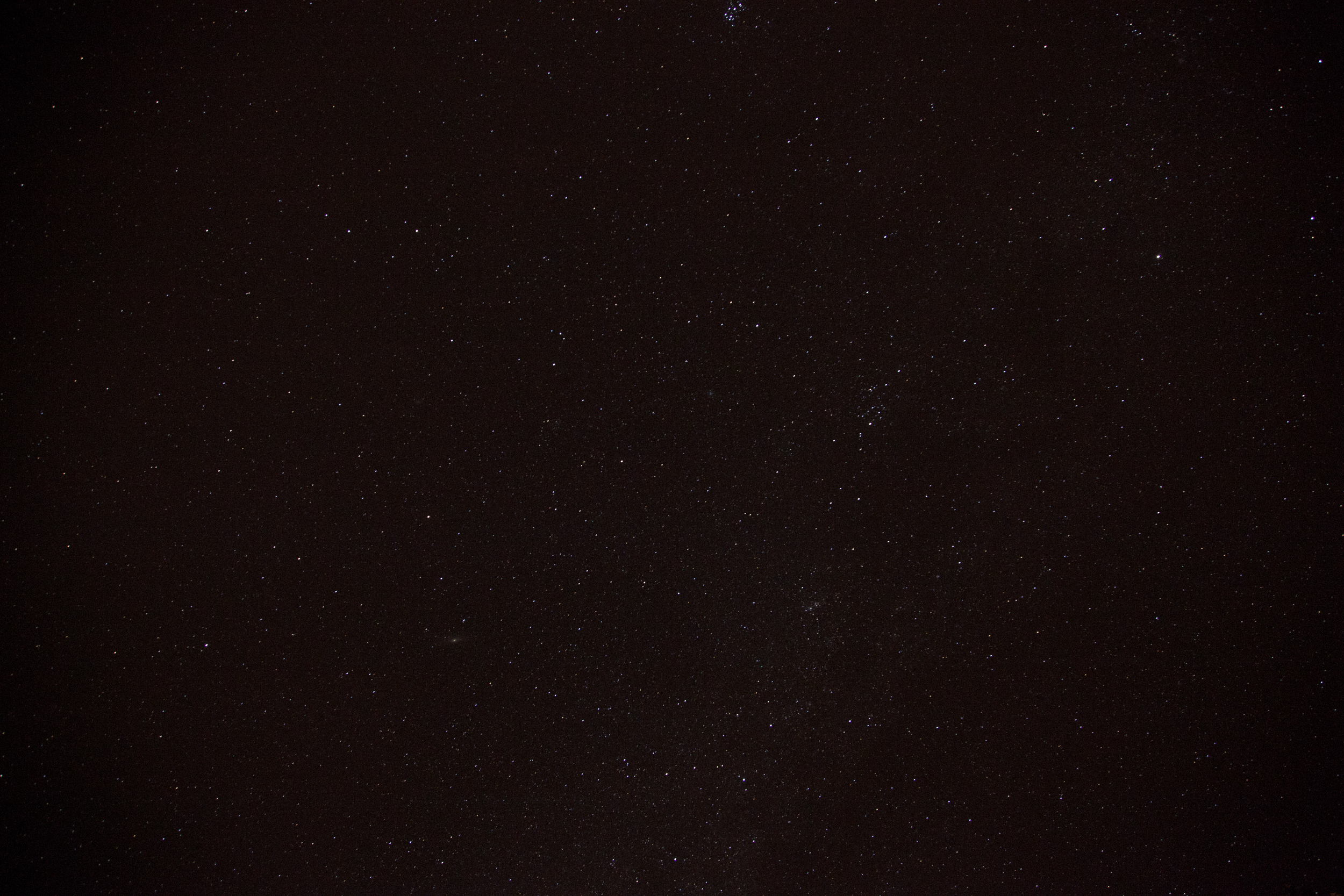 cosmos.jpg