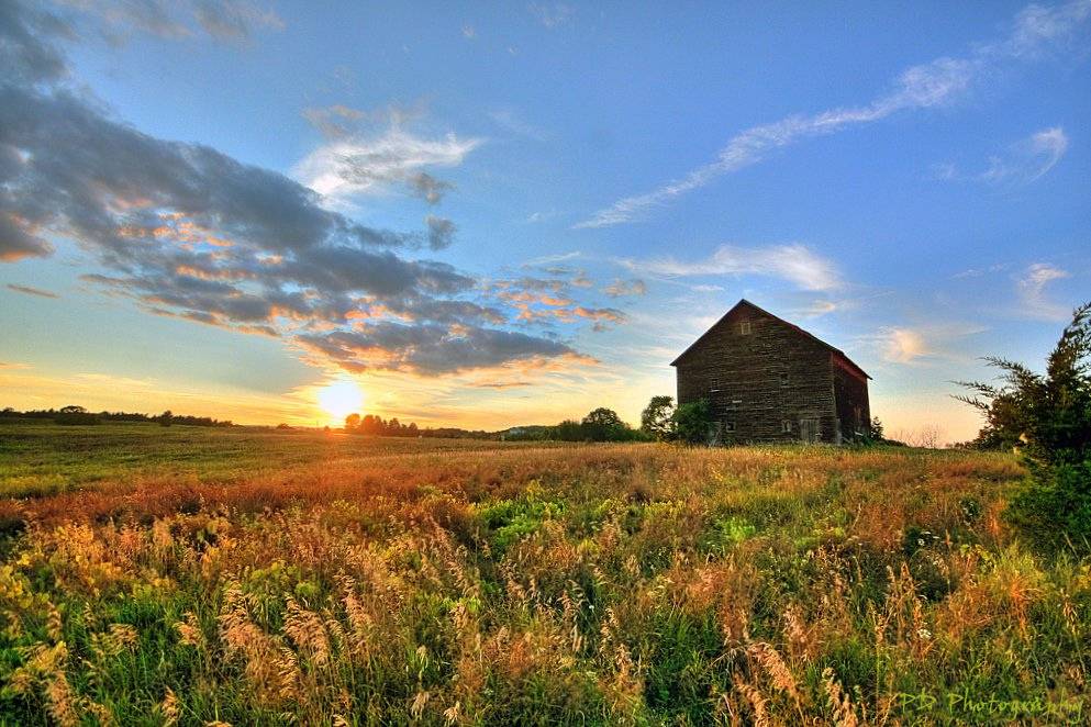 Farm fouse on field.jpg
