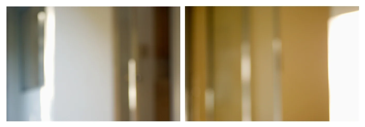 occasionally making vague movements of small extent c-prints, aluminum, wood, plexiglass, 11.5" x 37"