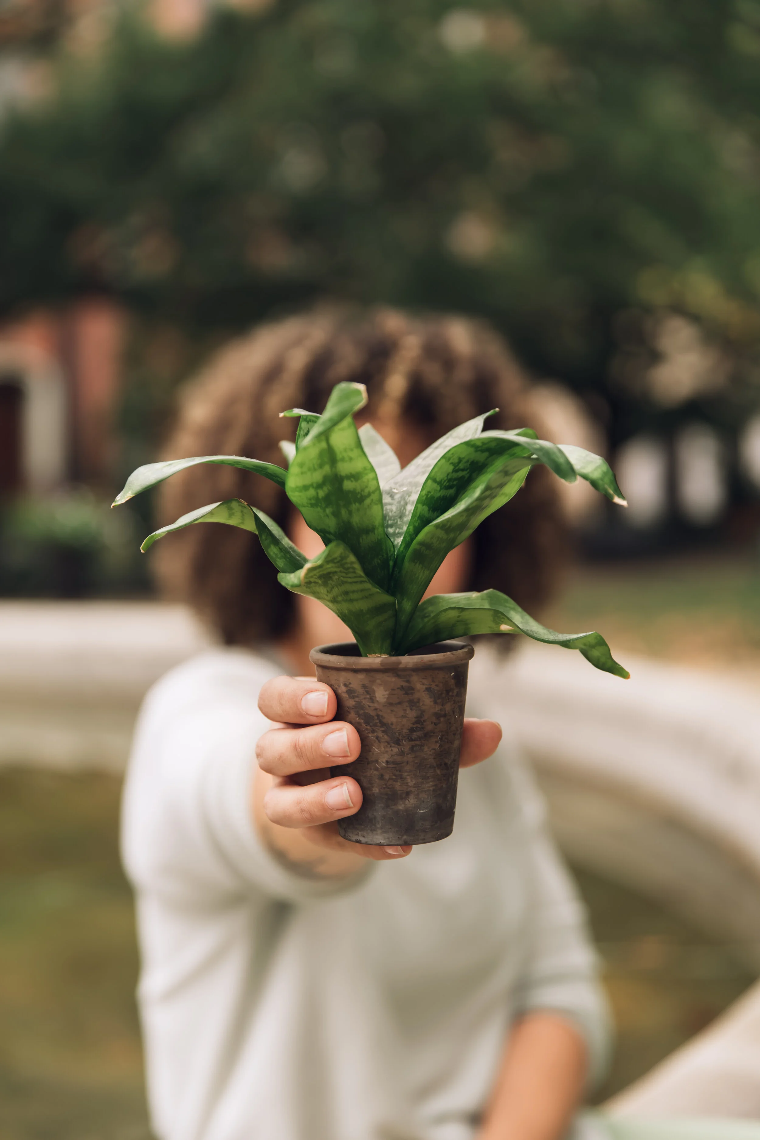 Growing Through Gratitude • Fall Meditation Series