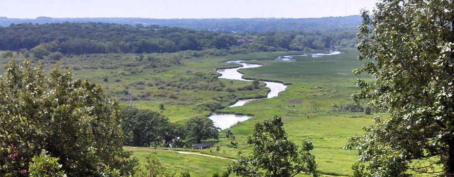 Conservancy Day: Coyotes and Foxes in Our Backyards