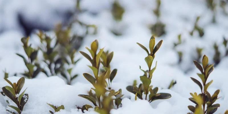 Our Changing Climate: The Science, the Consequences and the Solutions