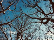 Tap into Your Intuition Retreat