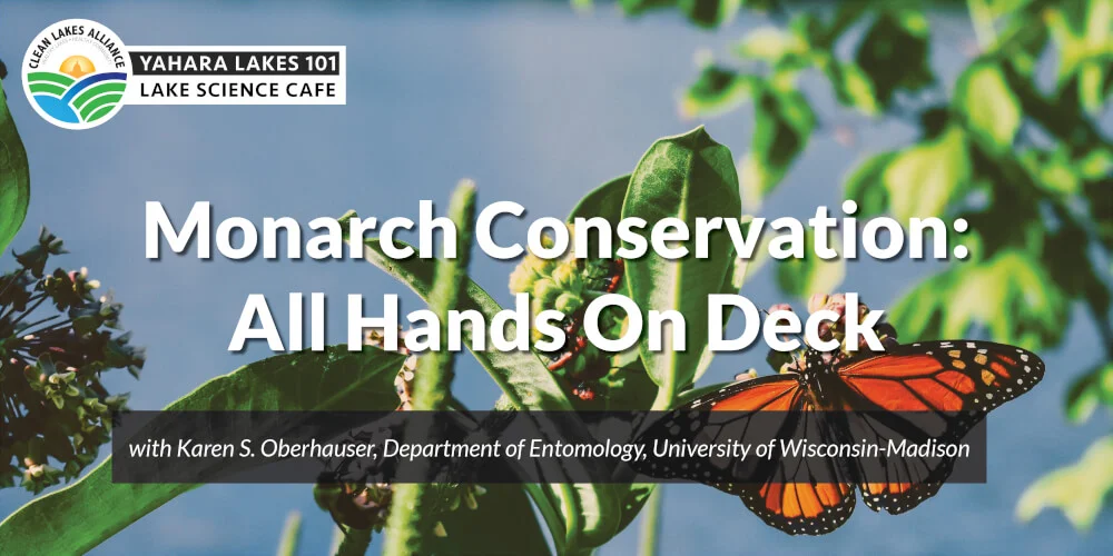Monarch Butterfly Conservation: An “All Hands on Deck” Approach for a Flagship Insect