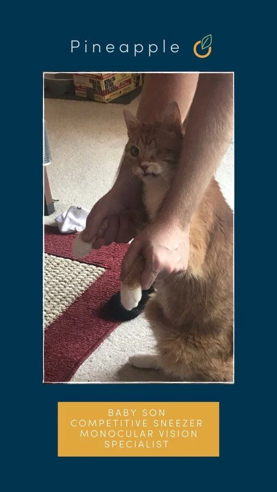 Pineapple employee photo.jpeg