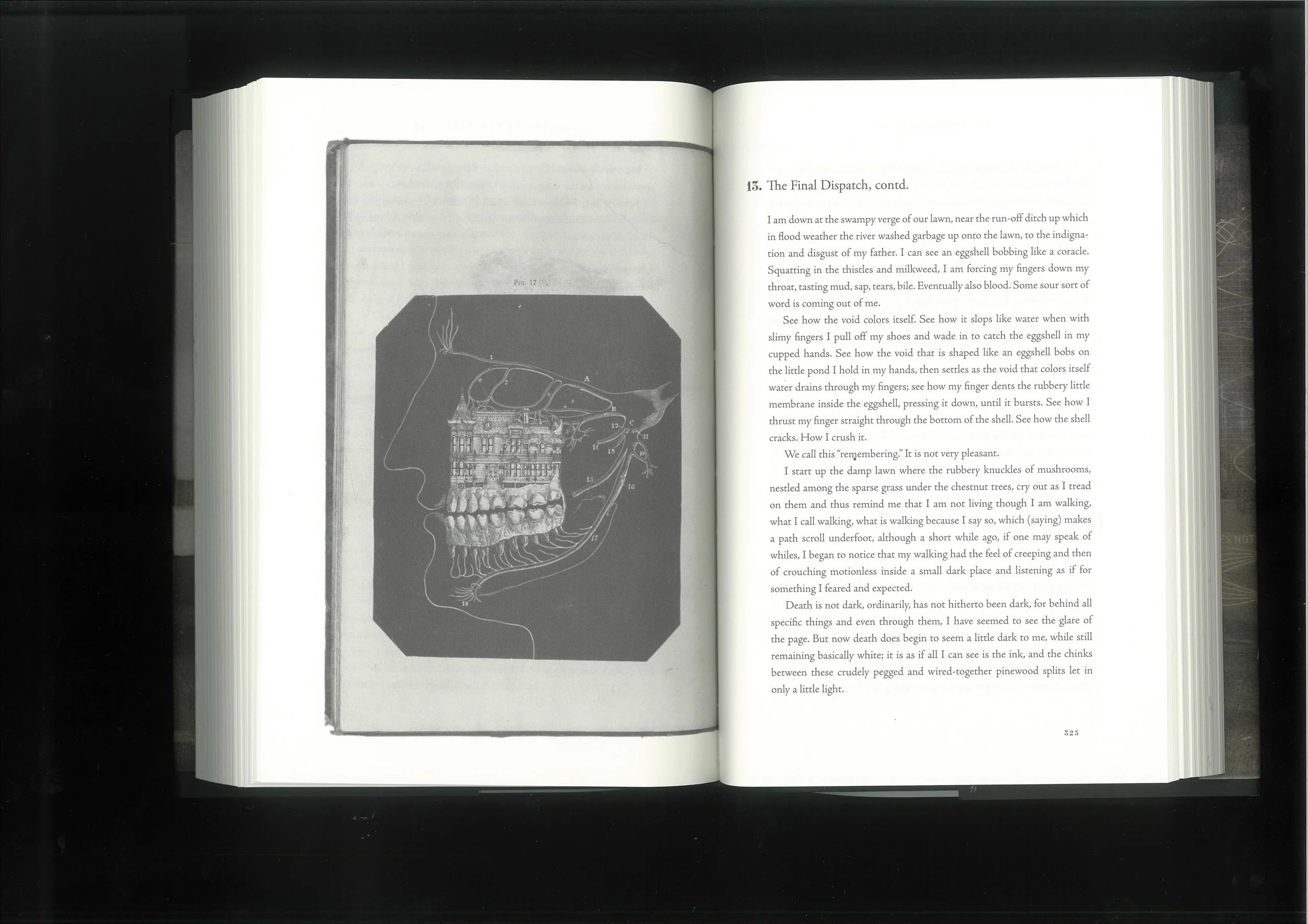 RIDDANCE scan 3.jpeg