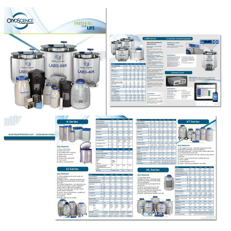 multi-page product brochure
