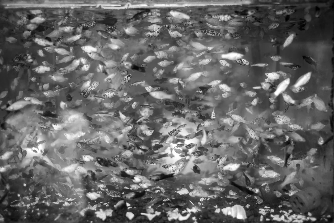 L1000403.jpg