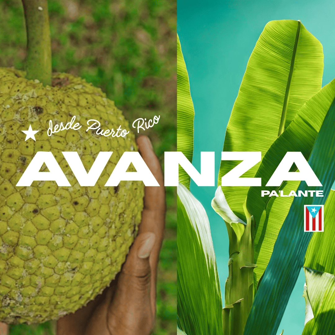 ezgif.com-animated-gif-maker (1).gif