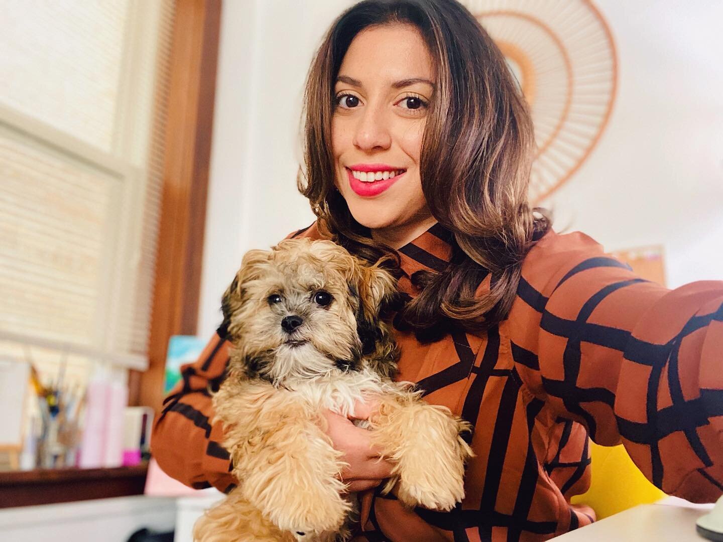 My favorite part of returning home from any trip 🐶 🥰@diego_krimp  #roommate #furry 
.
.
.
.
.
#healreadyneedsahaircut #puppy #wickerparkpup #coworkers #shitzupoodle #shitzu