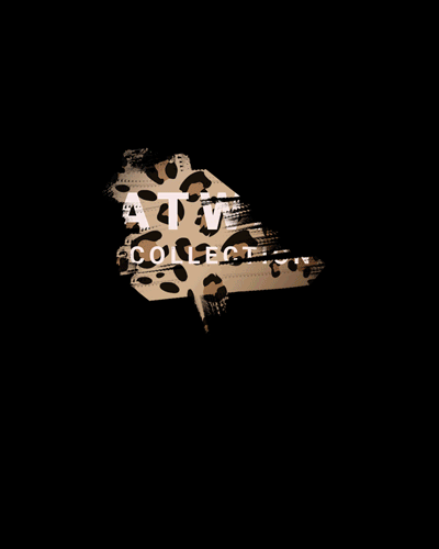 CatwalkReveal3.gif