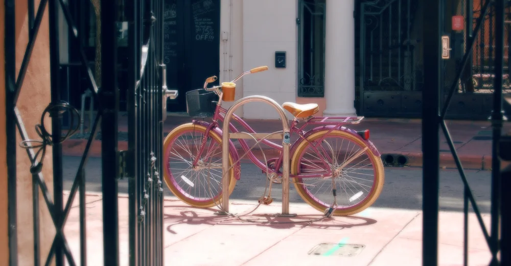 MOTLEY_MIAMI_bike.jpg