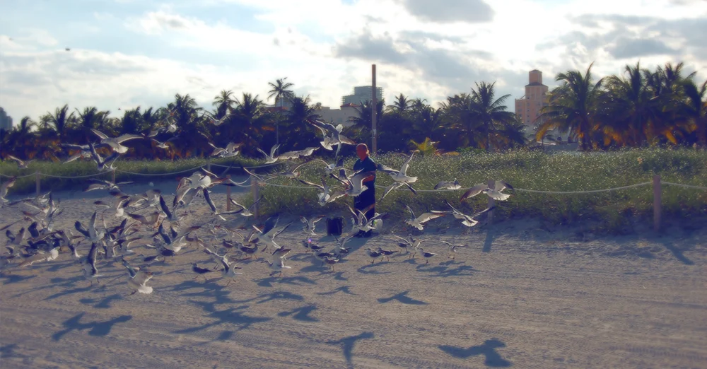 MOTLEY_MIAMI_birdman.jpg