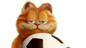 Garfield-HD-Wallpaper-Photos.jpg