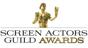 SCREEN ACTORS' GUILD AWARD NOMINATION I was nominated with The Good Wife cast in the Outstanding Performance by an Ensemble in a Drama Series category at the 2011 SAG awards.