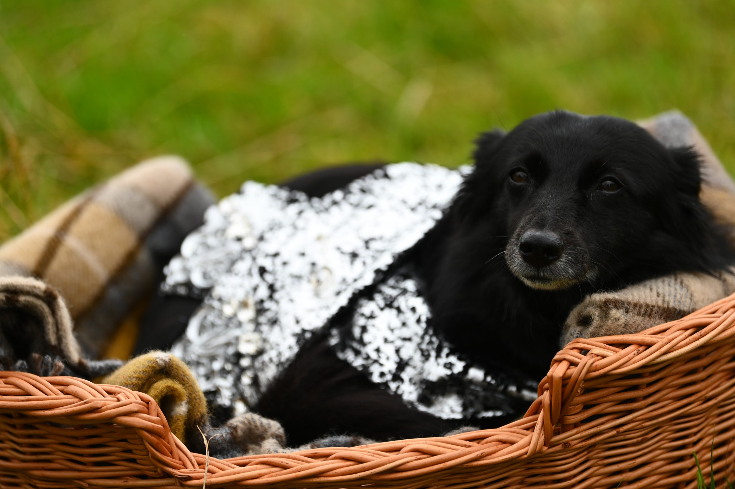 NUP_207872_ 00479.jpg