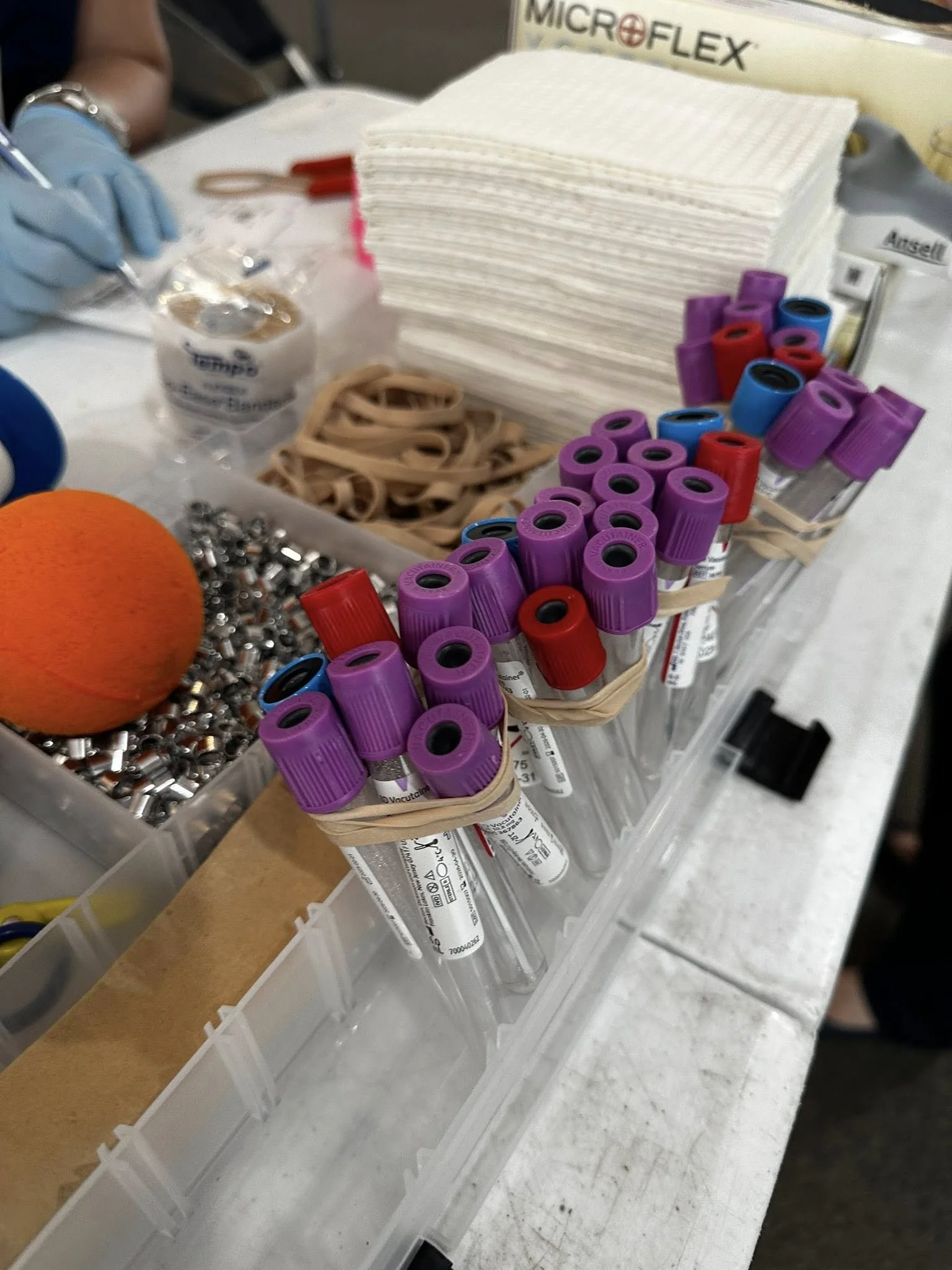 520252826_1073193628276637_8455763485231532511_n.jpg