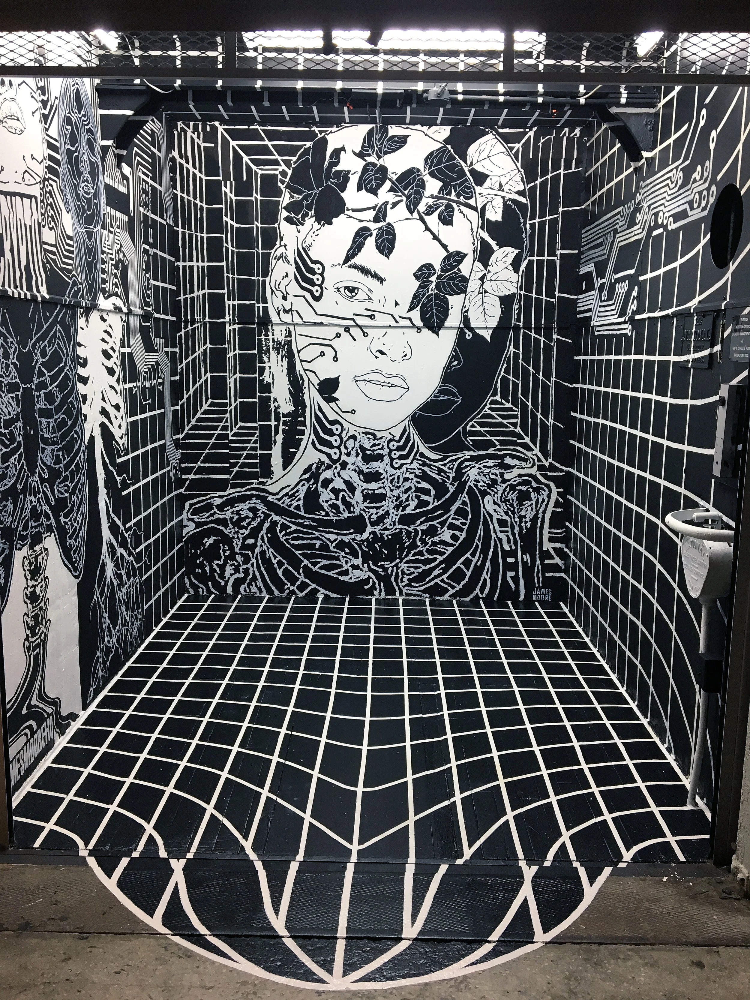 jamesmoore_installation2.jpg