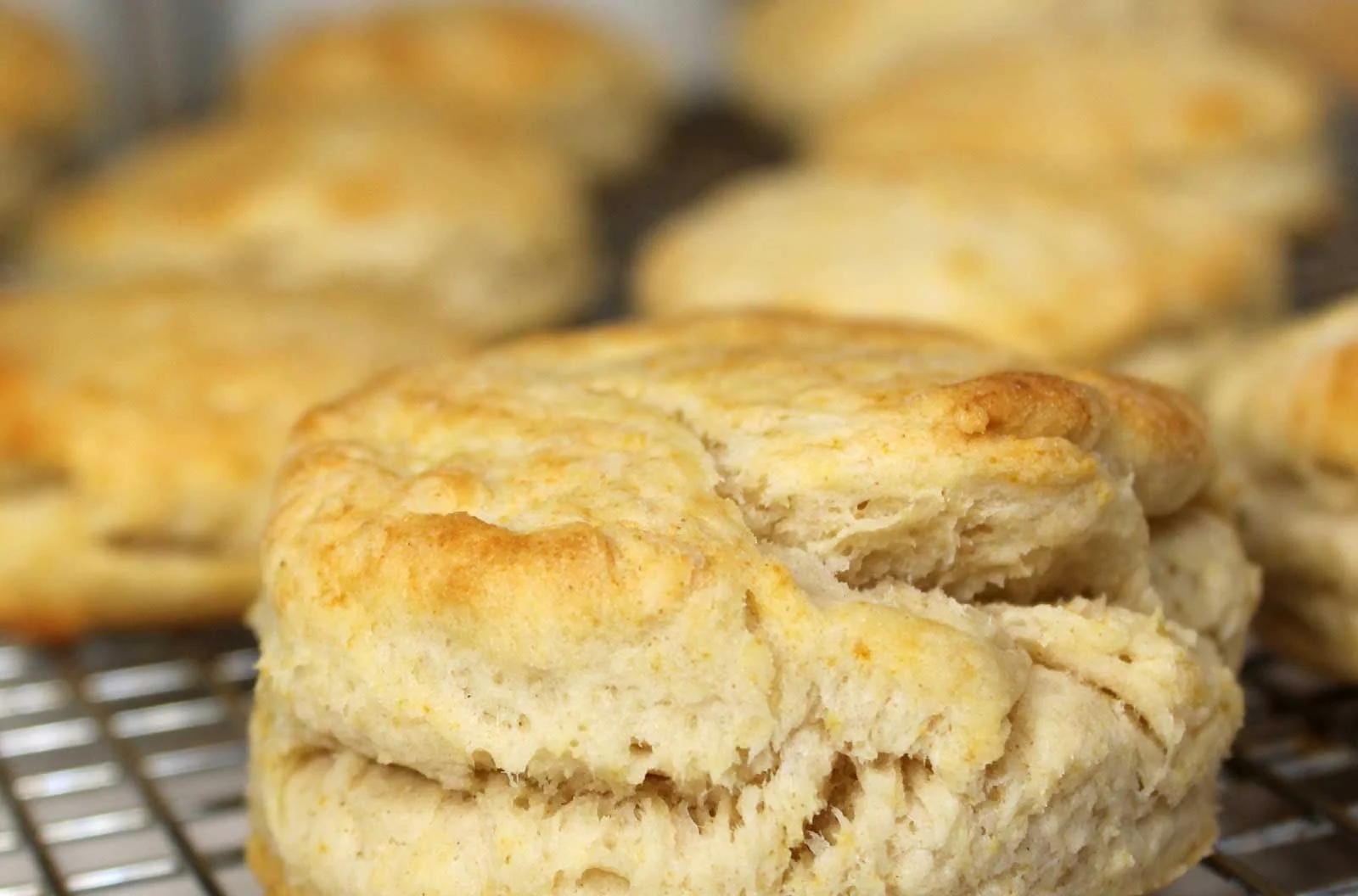 Lesson in a Bojangles Biscuit Delivery