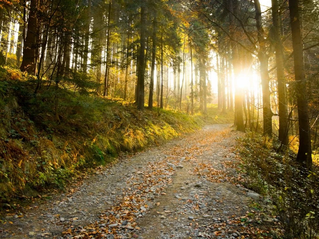 Feeling Good vs. Doing Good