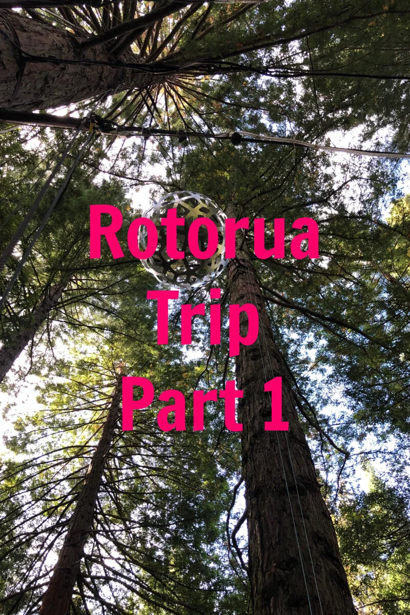 Rotorua: Part 1 — Bumblemom