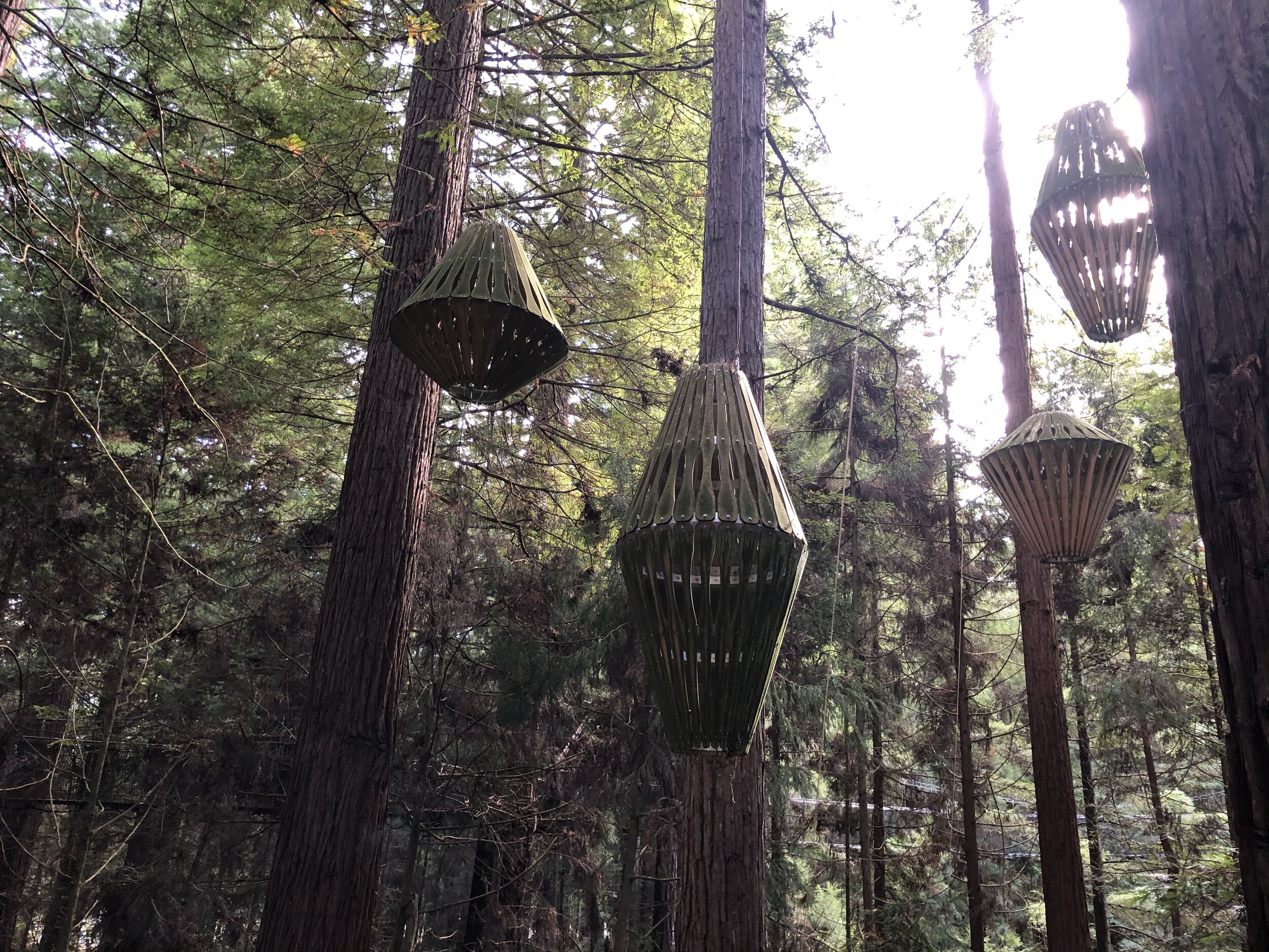 Lanterns designed by David Trubridge