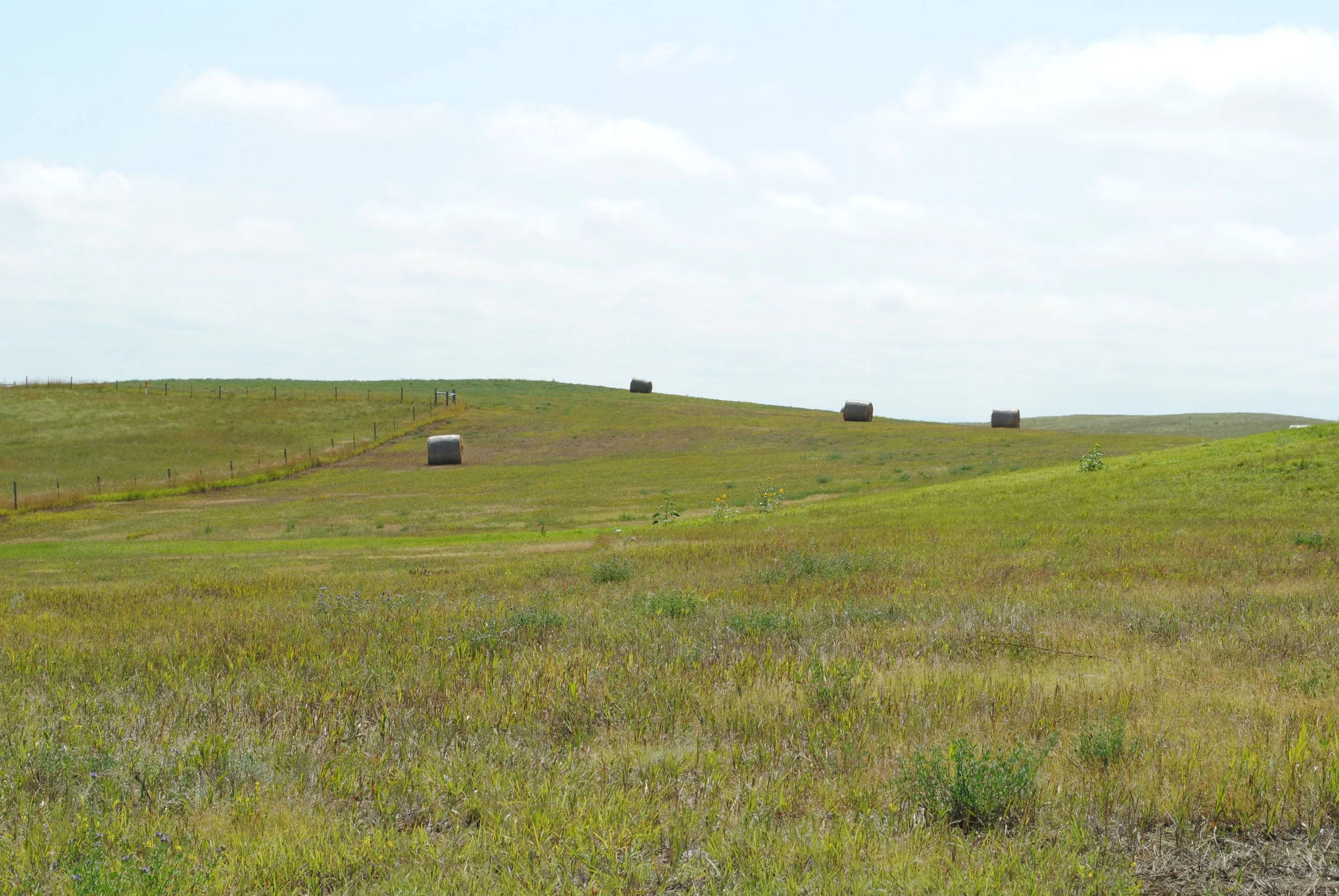 Hay in South Dakota