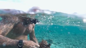 CORAL RESTORATION IN FIJI