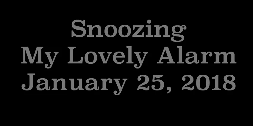 Jan 25 2018 - Snoozing My Lovely Alarm.jpg