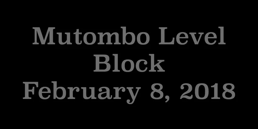 Feb 8 2018 - Mutombo Level Block.jpg