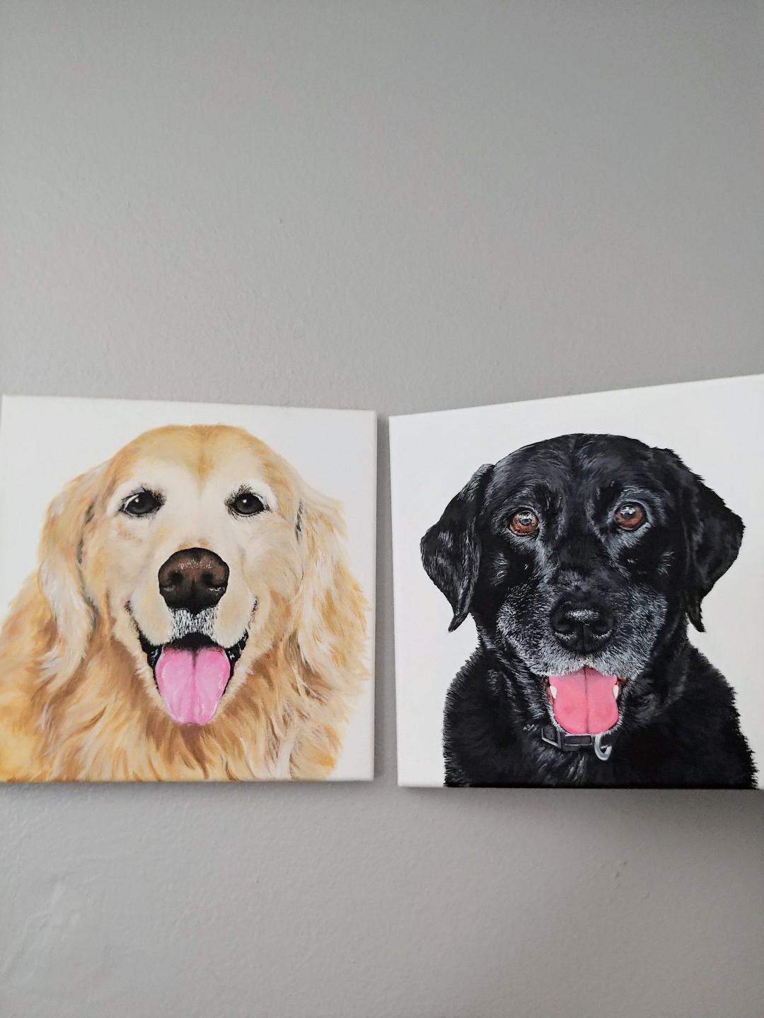 Toby & Koda.jpeg