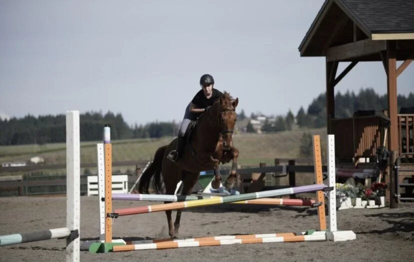 Horses for Sale — Savin Hill Farm