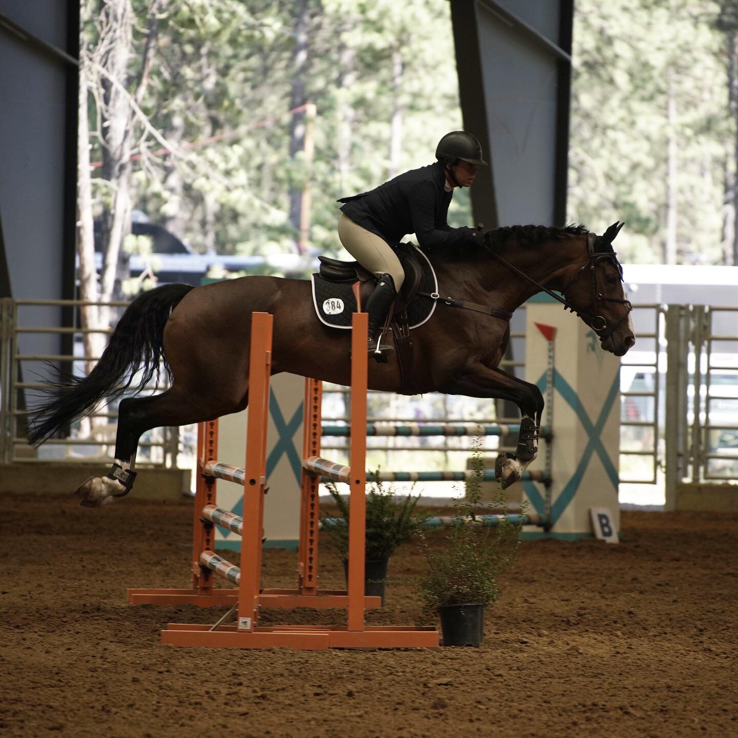 Baby girl and I love the Washington State Horse Park. Can&rsquo;t wait for more, and for some bigger jumps in our future&hellip; I always have fun with her ❤️🦄 #gibsonshf