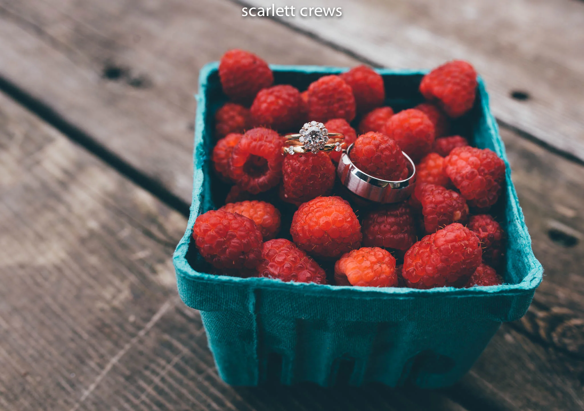 Bellevue Berry Farm Wedding | shannon & mike