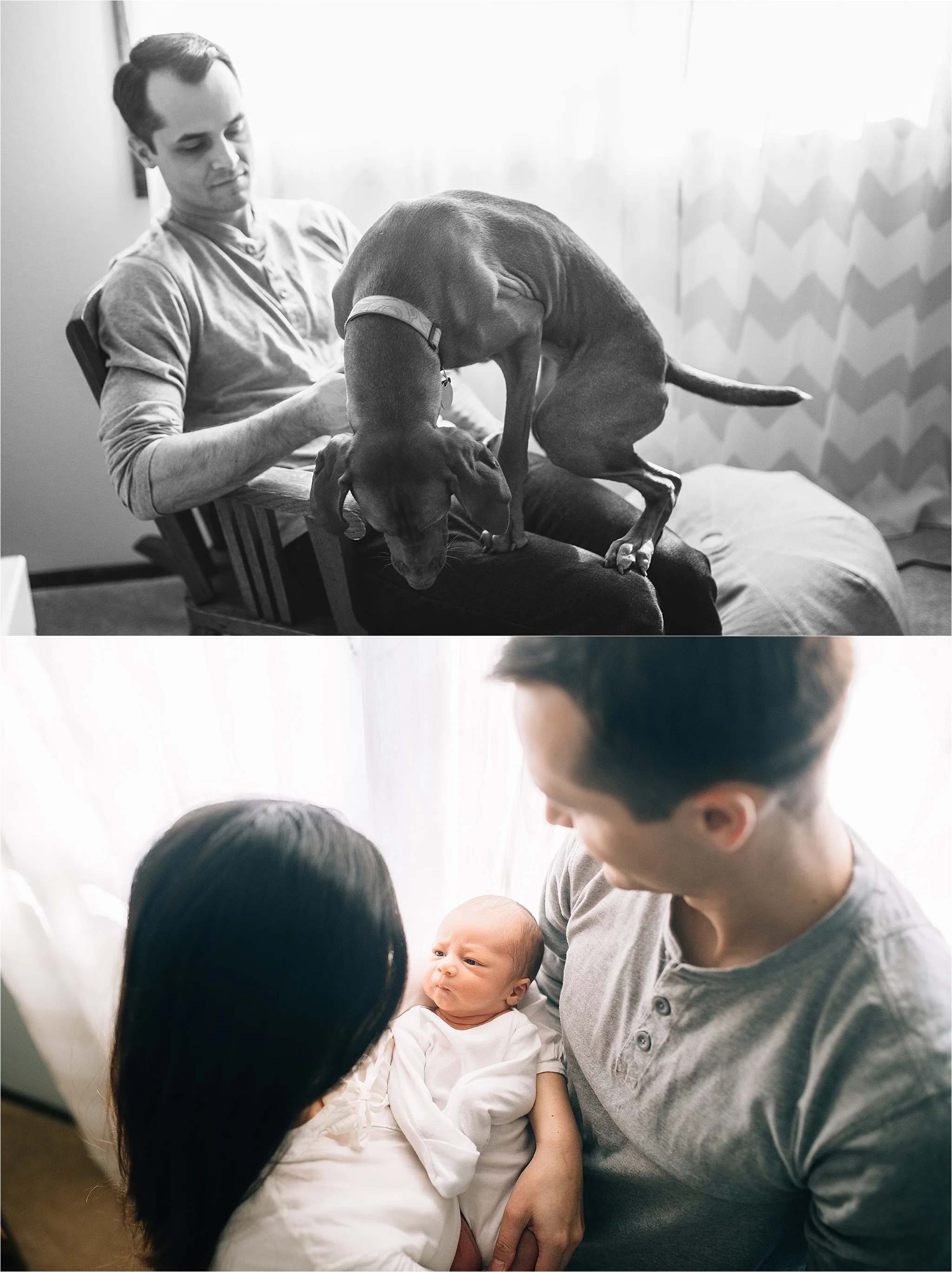 St. Louis Newborn Lifestyle Photography