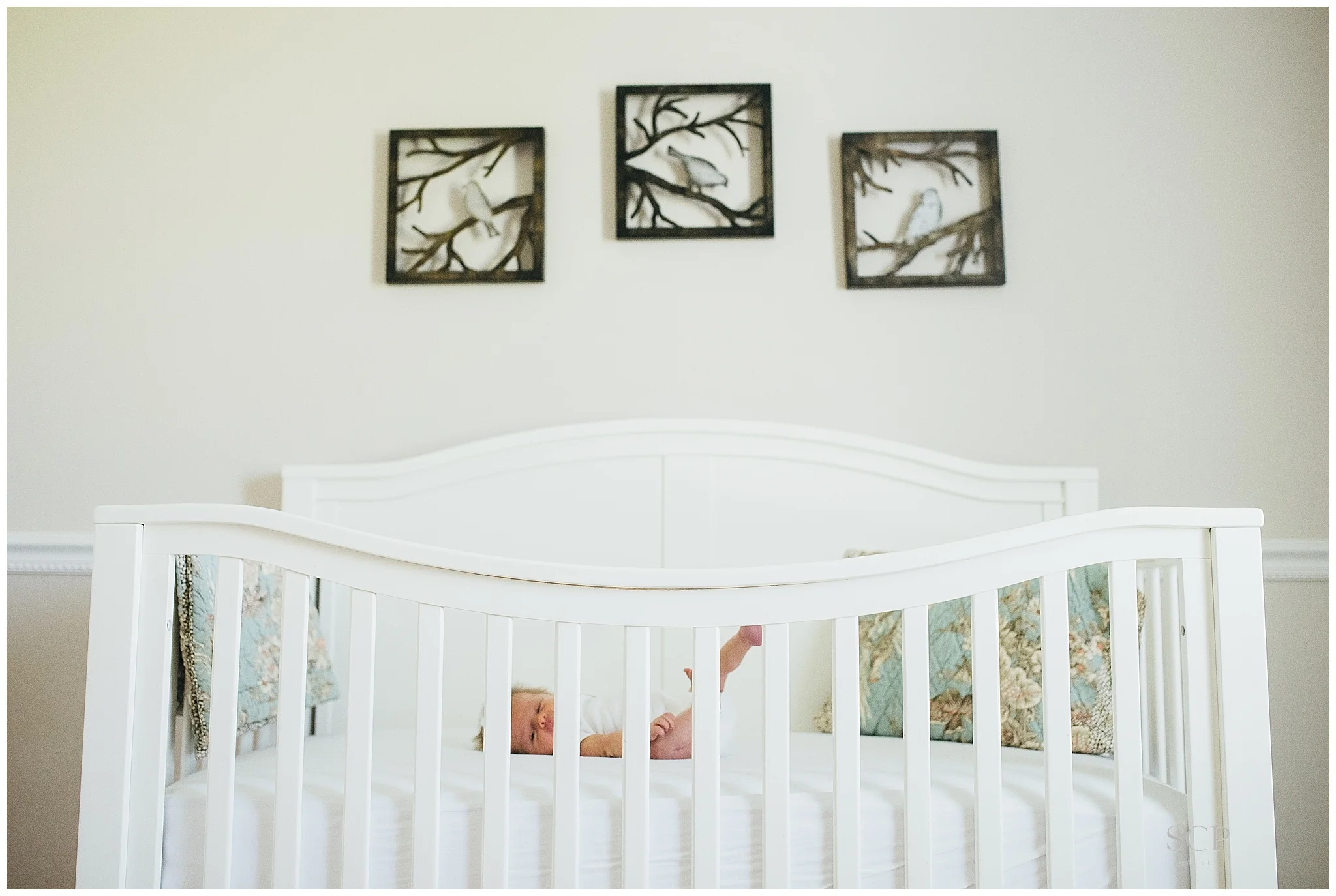 St. Louis Newborn Lifestyle Photography