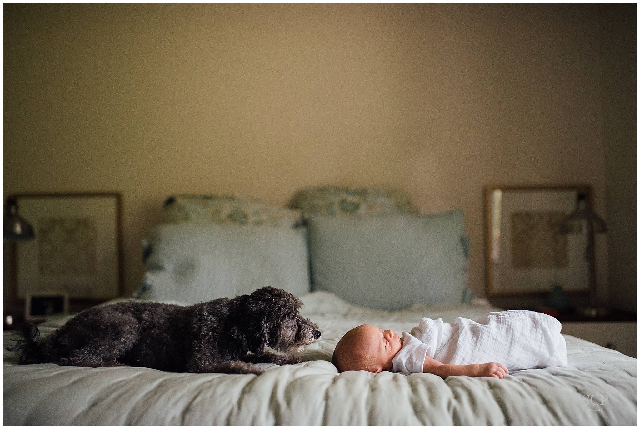 St. Louis Newborn Lifestyle Photography