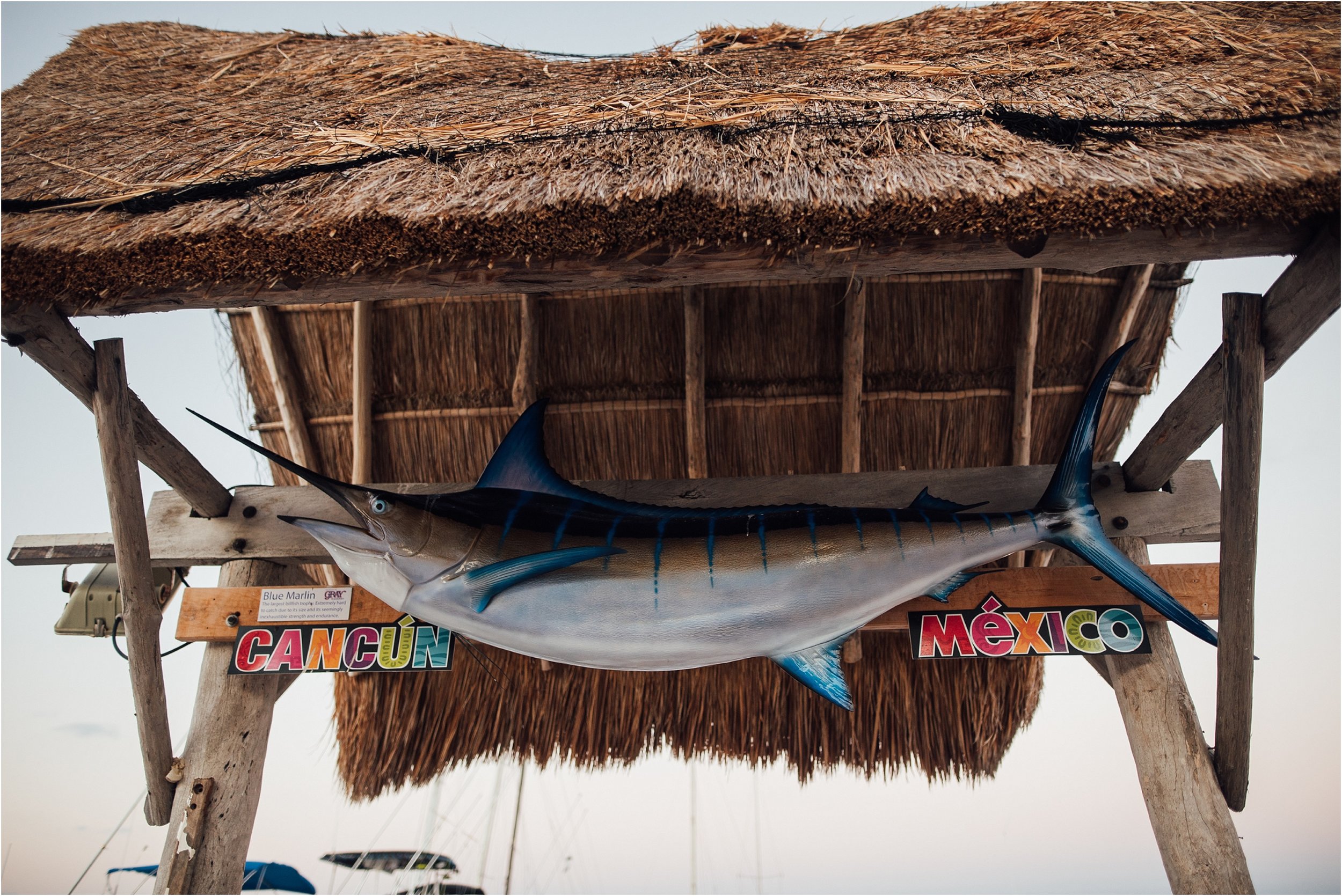 Secrets The Vine, cancun, mexico destination wedding