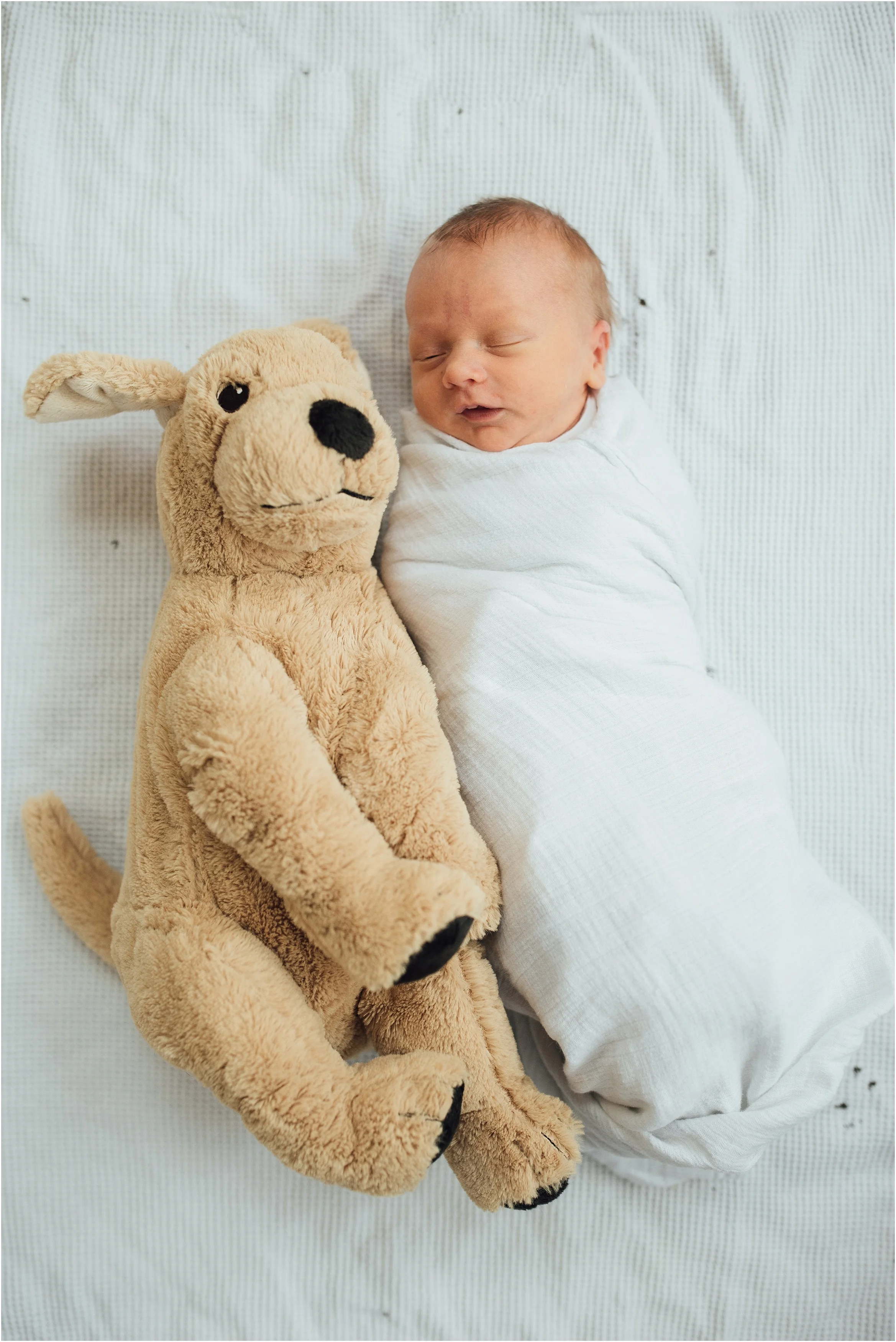 St Louis Newborn Lifestyle Photography