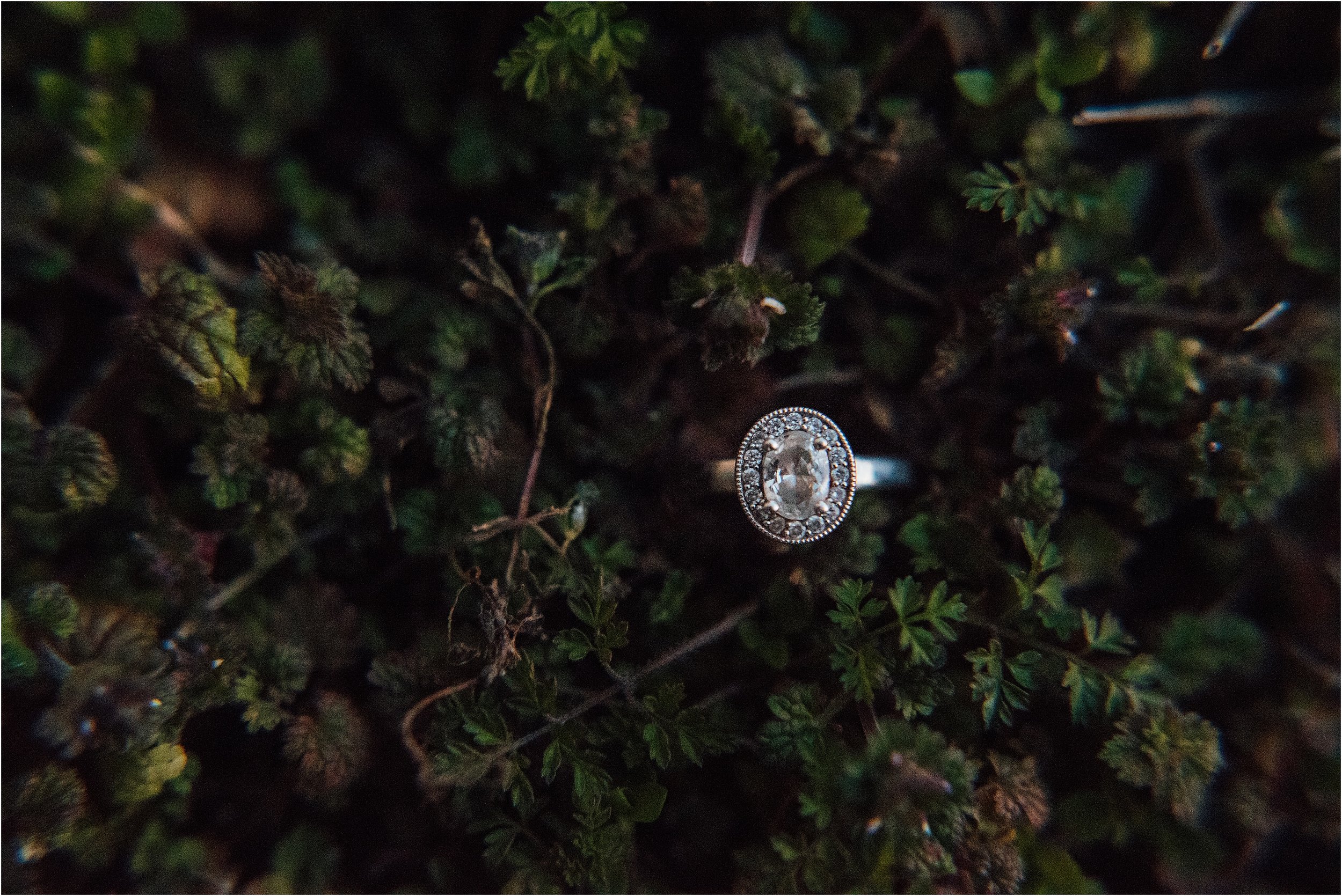 St Louis Engagement Photography Laura & Aaron1.jpg