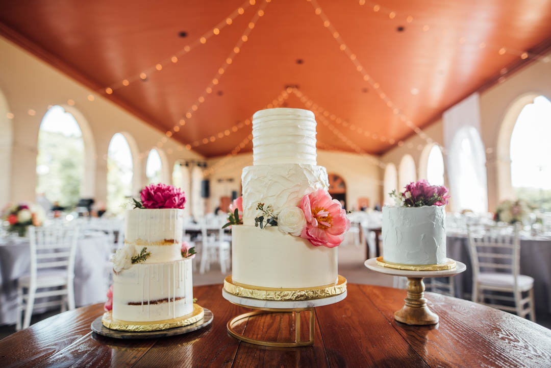 worlds fair pavilion wedding casey brad-962.jpg