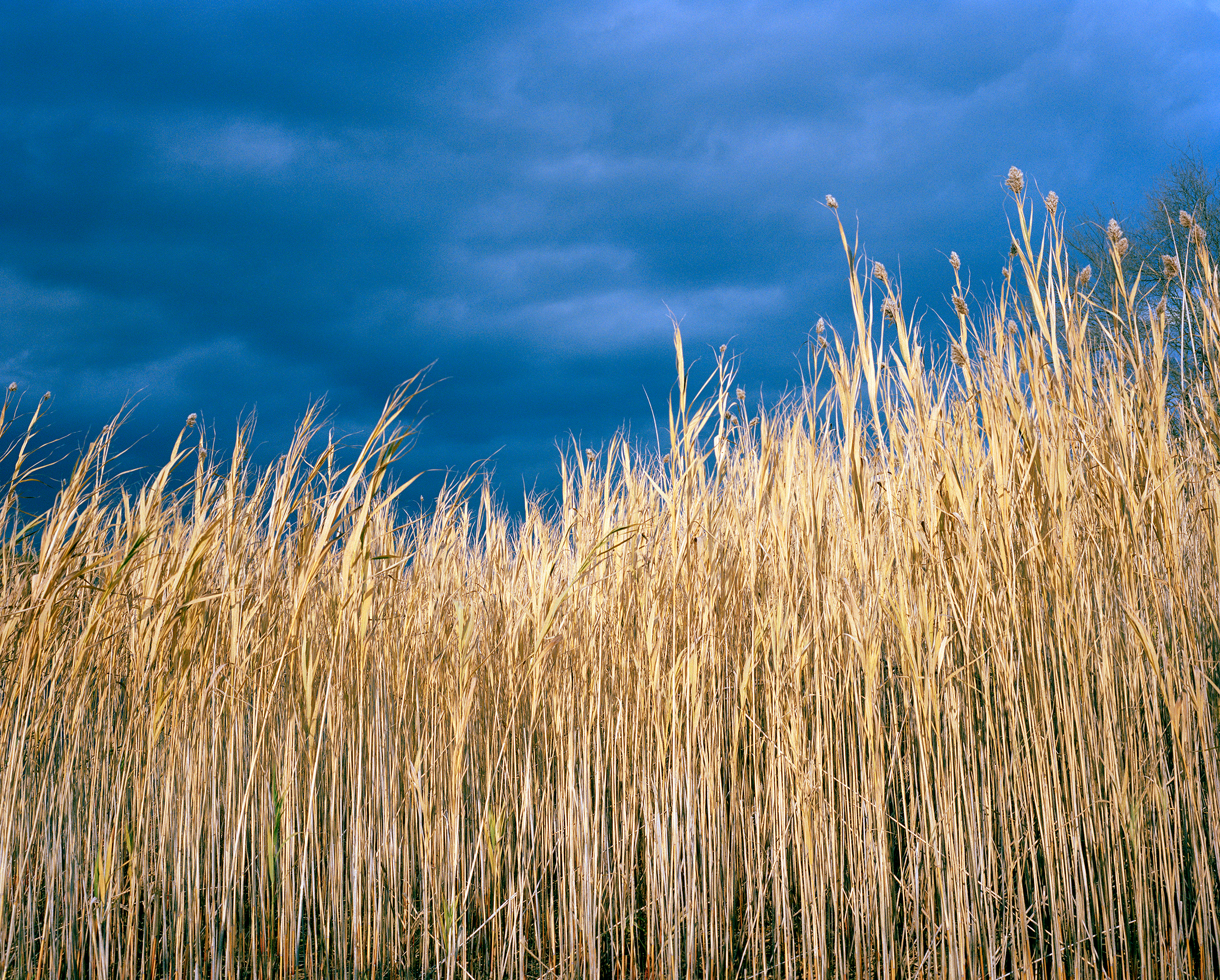 Reeds, Massachusetts (2013)