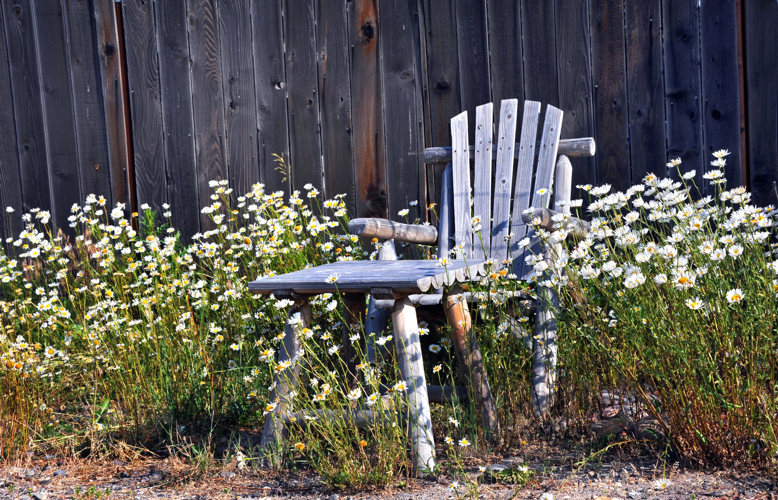 You Want Me To Steam What?