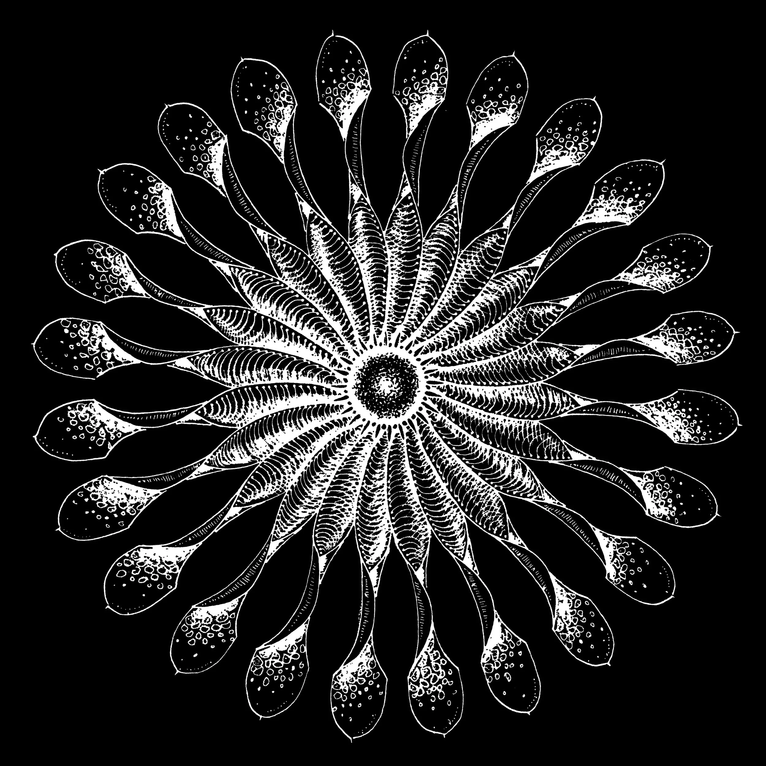 EPISODE 76 | Interpreting a Semen Analysis with Dr. Paul Turek